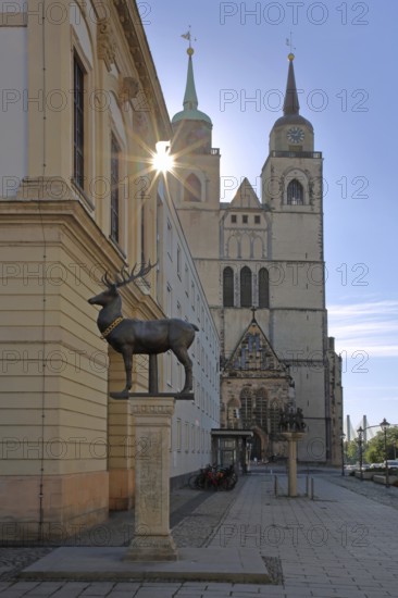 Stag column with stag statue and St John's Church in the backlight, stag statue, Old Town Hall, Old Market Square, Magdeburg, Saxony-Anhalt, Germany