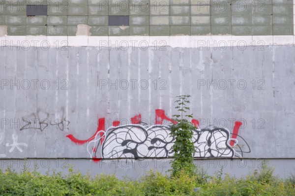 Photo of a weathered house wall painted with graffiti in front of which bushes and a tree are growing, An der Strangriede, Hanover, Lower Saxony
