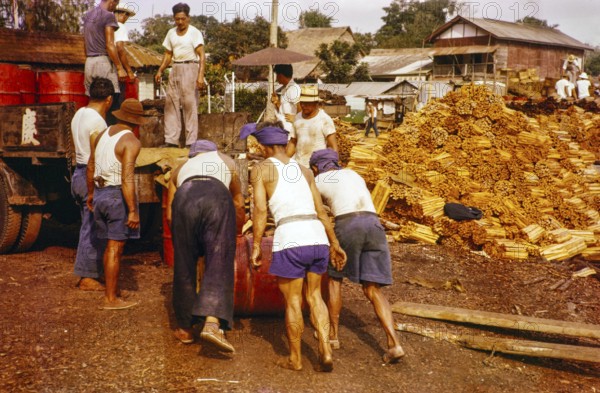 Male workers loading metal fuel drums onto back of lorry in timber yard, Johor Bahru, Johor, Malaya, Malaysia, south east Asia 1963