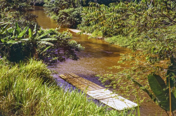 Bamboo ferry raft Pahnag river, Bentong district, Malaya, Malaysia, south east Asia 1963 captioned as ' Sungai Peredak'