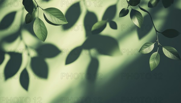 Realistic Overlay Effect Of Tree Leaves Shadows: A Decorative Element Perfect For Presentations And Mockups, Adding A Touch Of Nature, AI generated
