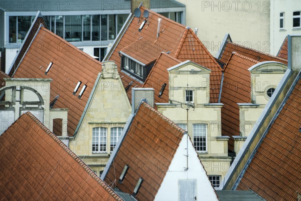 Aerial view, old town of Münster, North Rhine-Westphalia, Germany