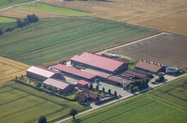 Aerial photograph, Kartoffelhof-Peukmann, Westbüderich, Werl, Soester Börde, North Rhine-Westphalia, Germany, DE, Europe, commercial enterprises, commercial area, commercial location, commercial use, agricultural enterprise, aerial photograph, aerial photography, aerial photography, overview, bird's-eye view, bird's-eye view, overview