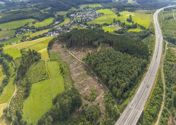 Aerial photograph, forest area with forest damage near Elben, A4 motorway, Wenden, Sauerland, North Rhine-Westphalia, Germany, tree death, bark beetle damage, bark beetle plague, DE, Europe, clear-cutting, aerial photograph, aerial photography, aerial photography, overview, bird's-eye view, forest, forest damage, forest dieback, birds-eyes view, overview
