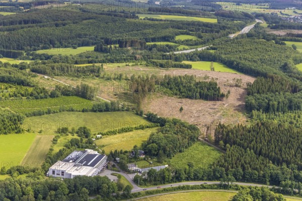 Aerial view, forest area with forest damage, Eloxal Gerlingen GmbH Metalloberflächenveredler, Gerlingen, Wenden, Sauerland, North Rhine-Westphalia, Germany, tree death, bark beetle damage, bark beetle plague, DE, Europe, commercial enterprises, commercial area, commercial area, commercial site, commercial use, industrial area, industrial building, industrial site, clear-cutting, aerial view, aerial photography, aerial photography, overview, bird's-eye view, forest, forest damage, forest dieback, birds-eyes view, overview