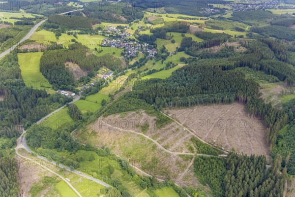 Aerial view, forest area with forest damage, Gerlingen, Wenden, Sauerland, North Rhine-Westphalia, Germany, tree dieback, bark beetle damage, bark beetle plague, DE, Europe, clear-cutting, aerial photography, aerial photography, aerial photography, overview, bird's-eye view, forest, forest damage, forest dieback, birds-eyes view, overview