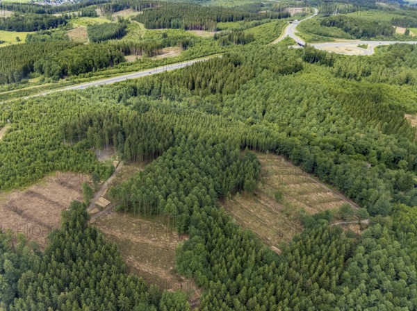 Aerial view, forest area with forest damage, Schönau, Wenden, Sauerland, North Rhine-Westphalia, Germany, tree mortality, bark beetle damage, bark beetle plague, DE, Europe, clear-cutting, aerial view, aerial photography, aerial photography, overview, bird's-eye view, forest, forest damage, forest dieback, birds-eyes view, overview