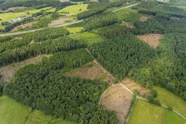 Aerial view, forest area with forest damage, Schönau, Wenden, Sauerland, North Rhine-Westphalia, Germany, tree mortality, bark beetle damage, bark beetle plague, DE, Europe, clear-cutting, aerial view, aerial photography, aerial photography, overview, bird's-eye view, forest, forest damage, forest dieback, birds-eyes view, overview