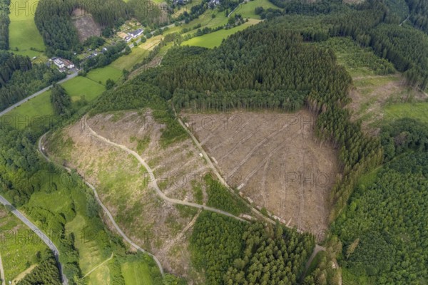 Aerial view, forest area with forest damage, Gerlingen, Wenden, Sauerland, North Rhine-Westphalia, Germany, tree dieback, bark beetle damage, bark beetle plague, DE, Europe, clear-cutting, aerial photography, aerial photography, aerial photography, overview, bird's-eye view, forest, forest damage, forest dieback, birds-eyes view, overview