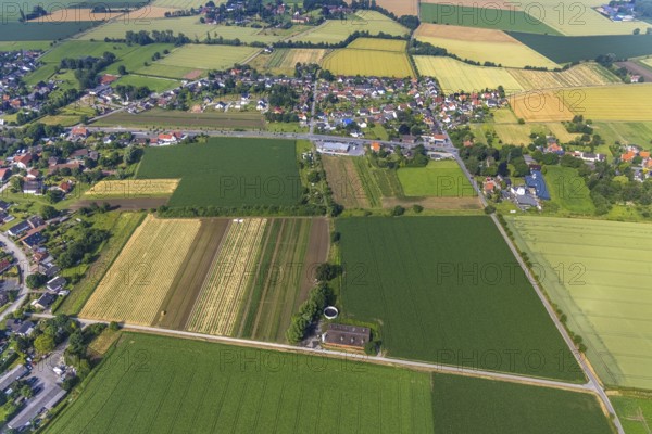 Aerial view, meadows and fields with view of Hilbeck, Werl, Soester Börde, North Rhine-Westphalia, Germany, DE, Europe, aerial view, aerial photography, aerial photography, overview, bird's-eye view, meadows and fields, birds-eyes view, overview