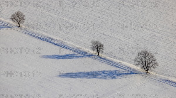 Aerial view, snow-covered fields, winter, single trees cast shadows in the snow, Uentrop, Hamm, Soester Börde, North Rhine-Westphalia, Germany, Soester, Börde, DE, Europe, birds-eyes, view, aerial photography, aerial photography, aerial photography, overview, overview, bird's eye view, snow