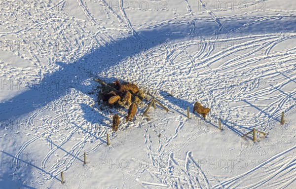 Aerial view, Sönnerbach and Salzbach, renaturalised railing, snow-covered, winter, Werl, Soester Börde, North Rhine-Westphalia, Germany, Soester, Börde, DE, Europe, birds-eyes, view, aerial photography, aerial photography, overview, overview, bird's eye view, Sönnerbach, Salzbach, renaturalisation, meadows, fields, snow