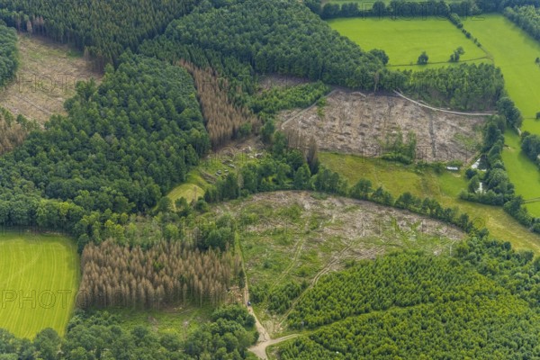 Aerial view, forest area with forest damage near Altenhof, Wenden, Sauerland, North Rhine-Westphalia, Germany, tree dieback, bark beetle damage, bark beetle plague, DE, Europe, spruce dieback, clear-cutting, aerial view, aerial photography, aerial photography, overview, bird's-eye view, forest, forest damage, forest dieback, birds-eyes view, overview