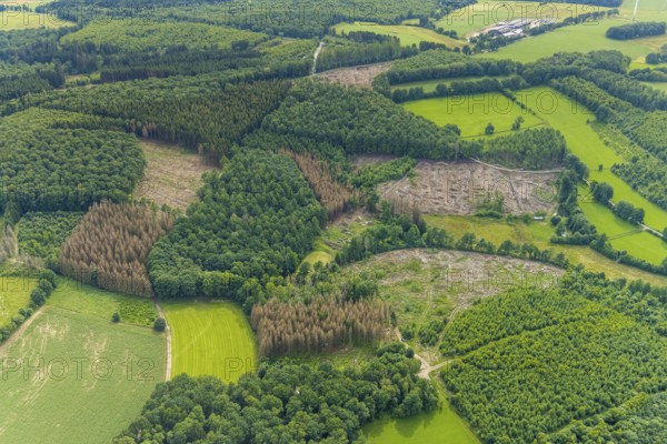 Aerial view, forest area with forest damage near Altenhof, Wenden, Sauerland, North Rhine-Westphalia, Germany, tree dieback, bark beetle damage, bark beetle plague, DE, Europe, spruce dieback, clear-cutting, aerial view, aerial photography, aerial photography, overview, bird's-eye view, forest, forest damage, forest dieback, birds-eyes view, overview
