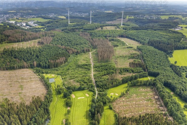 Aerial view, forest area with forest damage Dörnscheid, Ottfingen, Wenden, Sauerland, North Rhine-Westphalia, Germany, tree mortality, bark beetle damage, bark beetle plague, DE, Europe, clear-cutting, aerial photography, aerial photography, overview, bird's-eye view, forest, forest damage, forest dieback, birds-eyes view, overview