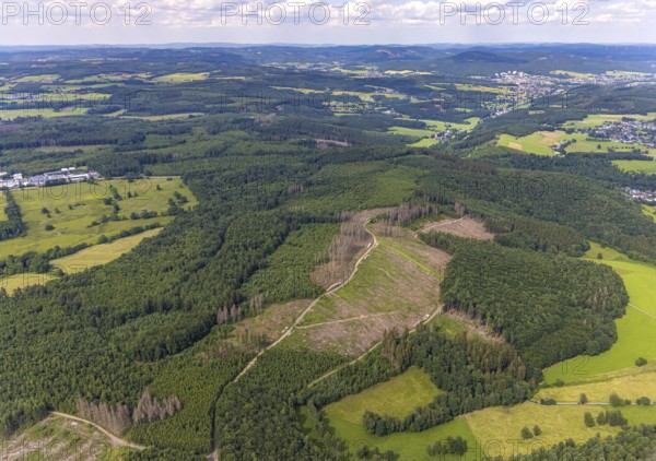 Aerial view, forest area with forest damage, Hünsborn, Wenden, Sauerland, North Rhine-Westphalia, Germany, tree dieback, bark beetle damage, bark beetle plague, DE, Europe, spruce dieback, clear-cutting, aerial view, aerial photography, aerial photography, overview, bird's-eye view, forest, forest damage, forest dieback, birds-eyes view, overview
