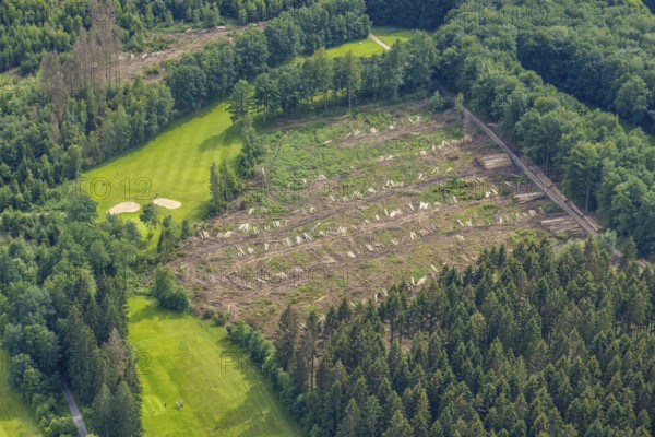 Aerial view, forest area with forest damage Dörnscheid, Ottfingen, Wenden, Sauerland, North Rhine-Westphalia, Germany, tree mortality, bark beetle damage, bark beetle plague, DE, Europe, clear-cutting, aerial photography, aerial photography, overview, bird's-eye view, forest, forest damage, forest dieback, birds-eyes view, overview