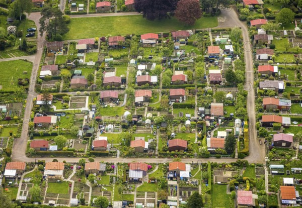 Aerial view, allotment garden association Birther Höfe, Asternweg, Hetterscheidt, city border Velbert and Heiligenhaus, Heiligenhaus, Ruhr area, North Rhine-Westphalia, Germany, DE, Europe, community garden, allotment garden, allotment garden site, allotment garden association, aerial view, aerial photography, aerial photography, allotment garden, overview, bird's eye view, birds-eyes view, overview, red roofs
