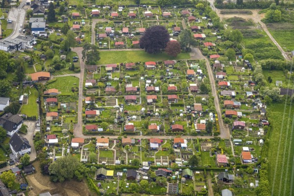 Aerial view, allotment garden association Birther Höfe, Asternweg, Hetterscheidt, city border Velbert and Heiligenhaus, Heiligenhaus, Ruhr area, North Rhine-Westphalia, Germany, DE, Europe, community garden, allotment garden, allotment garden site, allotment garden association, aerial view, aerial photography, aerial photography, allotment garden, overview, bird's eye view, birds-eyes view, overview, red roofs