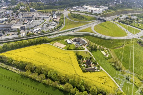 Aerial view, rape fields at the A44 motorway junction Hetterscheidt, Krehwinkler Höfe, Velbert, Ruhr area, North Rhine-Westphalia, Germany, motorway A44, DE, Europe, aerial view, aerial photography, aerial photography, overview, bird's-eye view, overview