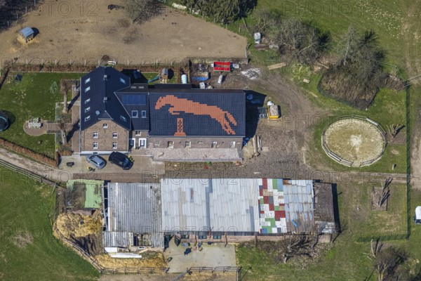 Aerial view, Pferdefreunde Emmelsum, jumping horse on the barn roof, club grounds Heinrichstraße, Emmelsum, Voerde, Ruhr area, Lower Rhine, North Rhine-Westphalia, Germany, DE, roof graphic, Europe, aerial view, aerial photography, aerial photography, horses, equestrian sports, riding centre, riding stable, riding club, riding stable, overview, bird's-eye view, overview