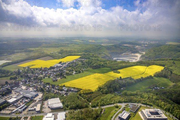 Aerial view, rape fields Rützkausen, limestone quarry Rohdenhaus, Velbert, Ruhr area, North Rhine-Westphalia, Germany, DE, Europe, aerial view, aerial photography, aerial photography, quarry, overview, bird's eye view, birds-eyes view, overview