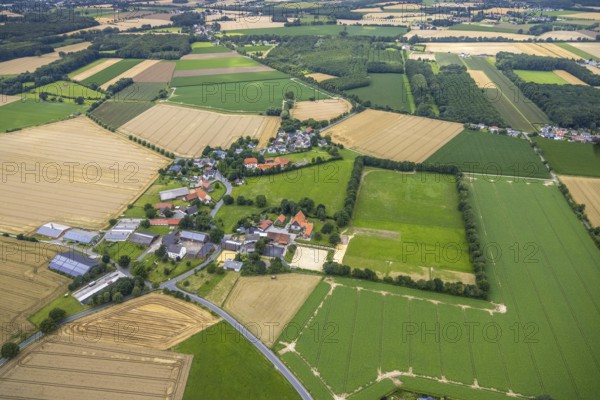 Aerial view, aerial view north Lünern, Lünern, Unna, Ruhr area, North Rhine-Westphalia, Germany, DE, Europe, property tax, real estate, aerial view, aerial photography, aerial photography, overview, bird's eye view, meadows and fields, housing estate, living and living, residential area, residential buildings, housing quality, housing estate, birds-eyes view, overview