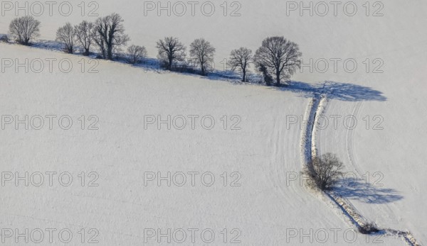 Aerial view, row of trees in the snow, Afferde, Unna, Ruhr area, North Rhine-Westphalia, Germany, DE, Europe, shapes and colours, aerial view, aerial photography, aerial photography, snow, overview, bird's eye view, winter, onset of winter, winter landscape, birds-eyes view, overview