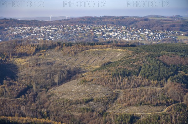 Aerial view, forest area with forest damage in the district of Hachen in Sundern, Sauerland, North Rhine-Westphalia, Germany, bark beetle damage, bark beetle plague, DE, Europe, spruce dieback, clear-cutting, aerial photograph, aerial photography, aerial photography, Sundern, overview, bird's-eye view, forest, forest damage, forest dieback, birds-eyes view, overview