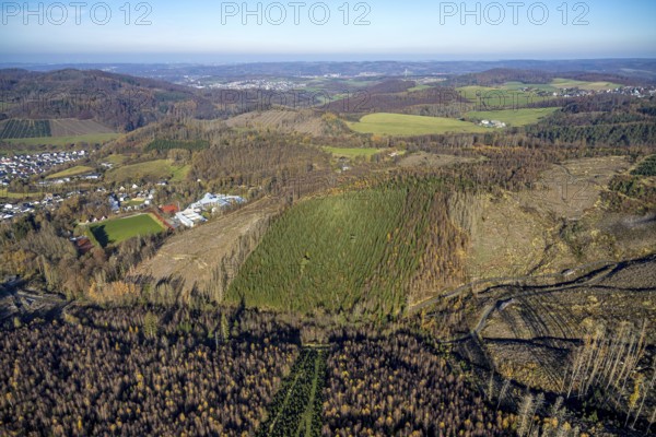 Aerial view, forest area with forest damage and sports and conference centre Hachen in the district Hachen in Sundern, Sauerland, North Rhine-Westphalia, Germany, tree dieback, bark beetle damage, bark beetle plague, DE, Europe, spruce dieback, clear-cutting, aerial view, aerial photography, aerial photography, sports field, sports centre, Sundern, overview, bird's eye view, forest, forest damage, forest dieback, birds-eyes view, overview