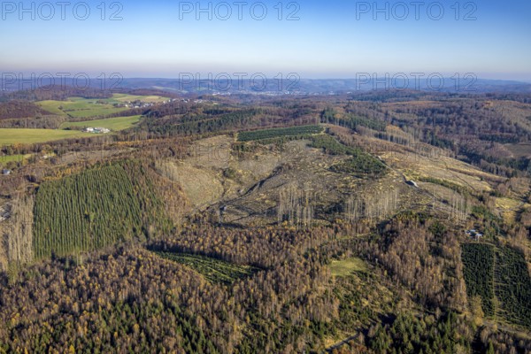 Aerial view, forest area with forest damage in the district of Hachen in Sundern, Sauerland, North Rhine-Westphalia, Germany, tree death, bark beetle damage, bark beetle plague, DE, Europe, spruce death, clear-cutting, aerial view, aerial photography, aerial photography, Sundern, overview, bird's eye view, forest, forest damage, forest dieback, birds-eyes view, overview