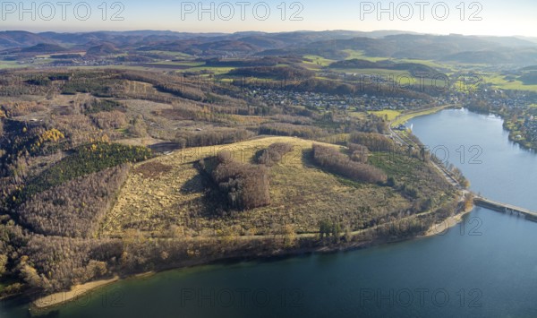 Aerial view, forest area with forest damage at the Sorpe lake in the district of Langscheid in Sundern, Sauerland, North Rhine-Westphalia, Germany, tree dieback, bark beetle damage, bark beetle plague, DE, Europe, spruce dieback, clear cutting, aerial view, aerial photography, aerial photography, Sorpe dam, reservoir, Sundern, dam, overview, bird's eye view, forest, forest damage, forest dieback, birds-eyes view, overview