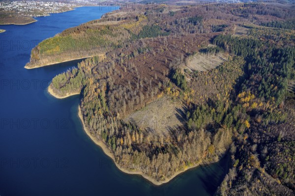 Aerial view, forest area with forest damage at the Sorpe lake in the district of Langscheid in Sundern, Sauerland, North Rhine-Westphalia, Germany, tree dieback, bark beetle damage, bark beetle plague, DE, Europe, spruce dieback, clear cutting, aerial view, aerial photography, aerial photography, Sorpe dam, reservoir, Sundern, dam, overview, bird's eye view, forest, forest damage, forest dieback, birds-eyes view, overview