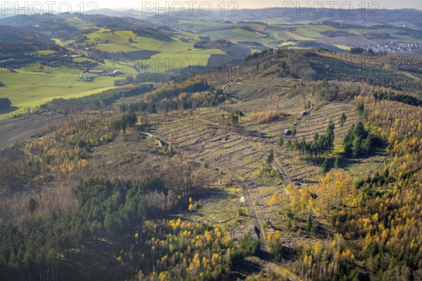 Aerial view, forest area with forest damage in the district of Amecke in Sundern, Sauerland, North Rhine-Westphalia, Germany, tree death, bark beetle damage, bark beetle plague, DE, Europe, spruce death, clear-cutting, aerial view, aerial photography, aerial photography, Sundern, overview, bird's eye view, forest, forest damage, forest dieback, birds-eyes view, overview