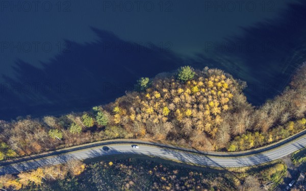 Aerial view, Shoreline forest area shapes and colours at the Sorpe lake in the district Amecke in Sundern, Sauerland, North Rhine-Westphalia, Germany, DE, Europe, shapes and colours, aerial view, aerial photography, aerial photography, Sorpe dam, reservoir, Sundern, dam, overview, shore area, bird's eye view, birds-eyes view, overview