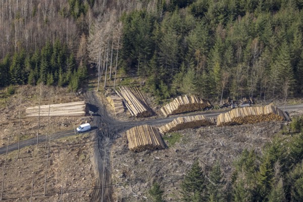 Aerial photo, forest damage in the forest area near Hachen, Sundern, Sauerland, North Rhine-Westphalia, Germany, tree dieback, DE, Europe, aerial photo, aerial photography, aerial photography, overview, bird's eye view, forest, forest area, forest damage, forest dieback, birds-eyes view, overview, spruce dieback, bark beetle plague, bark beetle damage, dead spruce, spruce clear-cut, clear-cutting, damaged wood