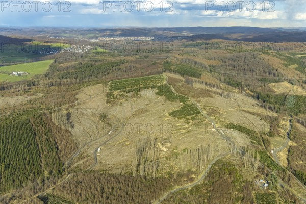 Aerial photo, forest damage in the forest area near Hachen, Sundern, Sauerland, North Rhine-Westphalia, Germany, tree dieback, DE, Europe, aerial photo, aerial photography, aerial photography, overview, bird's eye view, forest, forest area, forest damage, forest dieback, birds-eyes view, overview, spruce dieback, bark beetle plague, bark beetle damage, dead spruce, spruce clear-cut, clear-cutting, damaged wood