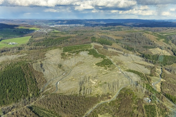 Aerial photo, forest damage in the forest area near Hachen, Sundern, Sauerland, North Rhine-Westphalia, Germany, tree dieback, DE, Europe, aerial photo, aerial photography, aerial photography, overview, bird's eye view, forest, forest area, forest damage, forest dieback, birds-eyes view, overview, spruce dieback, bark beetle plague, bark beetle damage, dead spruce, spruce clear-cut, clear-cutting, damaged wood