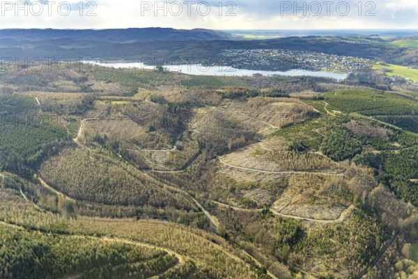 Aerial photo, forest damage in the forest area at Lake Sorpe, Höhenweg, Hachen, Sundern, Sauerland, North Rhine-Westphalia, Germany, tree death, DE, Europe, aerial photo, aerial photography, aerial photography, lake, Sorpe dam, overview, bird's-eye view, forest, forest area, forest damage, forest death, birds-eyes view, overview, spruce death, bark beetle plague, bark beetle damage, dead spruce, spruce clear-cut, clear-cutting, damaged wood