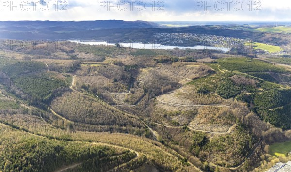 Aerial photo, forest damage in the forest area at Lake Sorpe, Höhenweg, Hachen, Sundern, Sauerland, North Rhine-Westphalia, Germany, tree death, DE, Europe, aerial photo, aerial photography, aerial photography, lake, Sorpe dam, overview, bird's-eye view, forest, forest area, forest damage, forest death, birds-eyes view, overview, spruce death, bark beetle plague, bark beetle damage, dead spruce, spruce clear-cut, clear-cutting, damaged wood