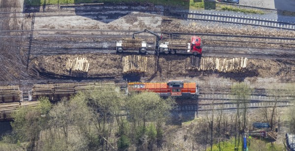 Aerial view, timber transport and loading at Sundern station, Sundern, Sauerland, North Rhine-Westphalia, Germany, railway tracks, railway station, DE, Deutsche Bahn AG, Europe, freight, freight transport, freight traffic, main station, aerial view, aerial photography, aerial photography, overview, bird's-eye view, overview