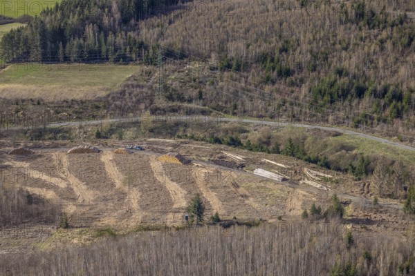 Aerial photo, forest damage in the forest area near Hachen, Sundern, Sauerland, North Rhine-Westphalia, Germany, tree dieback, DE, Europe, aerial photo, aerial photography, aerial photography, overview, bird's eye view, forest, forest area, forest damage, forest dieback, birds-eyes view, overview, spruce dieback, bark beetle plague, bark beetle damage, dead spruce, spruce clear-cut, clear-cutting, damaged wood