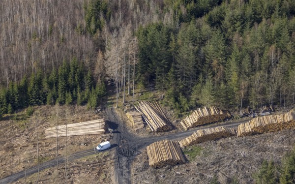 Aerial photo, forest damage in the forest area near Hachen, Sundern, Sauerland, North Rhine-Westphalia, Germany, tree dieback, DE, Europe, aerial photo, aerial photography, aerial photography, overview, bird's eye view, forest, forest area, forest damage, forest dieback, birds-eyes view, overview, spruce dieback, bark beetle plague, bark beetle damage, dead spruce, spruce clear-cut, clear-cutting, damaged wood