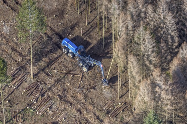 Aerial view, forest damage in forest area with harvester near Hellefeld, Westenfeld, Sundern, Sauerland, North Rhine-Westphalia, Germany, tree mortality, DE, Europe, shapes and colours, harvester, timber harvesting machine, timber harvester, crane harvester, aerial view, aerial photography, aerial photography, overview, bird's-eye view, forest, forest area, forest damage, forest dieback, forest harvester, birds-eyes view, overview, spruce dieback, bark beetle plague, bark beetle damage, dead spruce, spruce clear-cut, clear-cutting, damaged wood
