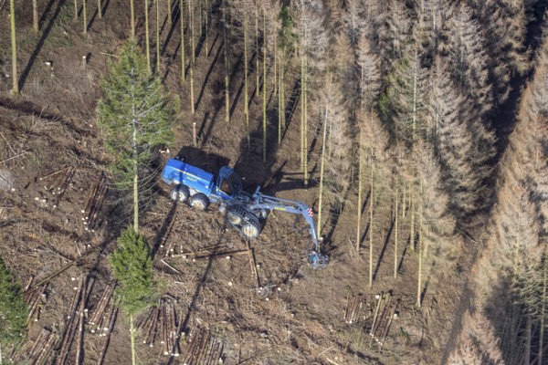 Aerial view, forest damage in forest area with harvester near Hellefeld, Westenfeld, Sundern, Sauerland, North Rhine-Westphalia, Germany, tree mortality, DE, Europe, shapes and colours, harvester, timber harvesting machine, timber harvester, crane harvester, aerial view, aerial photography, aerial photography, overview, bird's-eye view, forest, forest area, forest damage, forest dieback, forest harvester, birds-eyes view, overview, spruce dieback, bark beetle plague, bark beetle damage, dead spruce, spruce clear-cut, clear-cutting, damaged wood