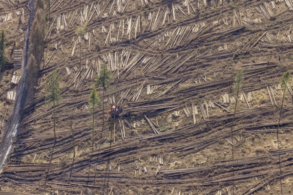 Aerial view, forest damage in forest area with harvester near Hellefeld, Westenfeld, Sundern, Sauerland, North Rhine-Westphalia, Germany, tree mortality, DE, Europe, shapes and colours, harvester, timber harvesting machine, timber harvester, crane harvester, aerial view, aerial photography, aerial photography, overview, bird's-eye view, forest, forest area, forest damage, forest dieback, forest harvester, birds-eyes view, overview, spruce dieback, bark beetle plague, bark beetle damage, dead spruce, spruce clear-cut, clear-cutting, damaged wood
