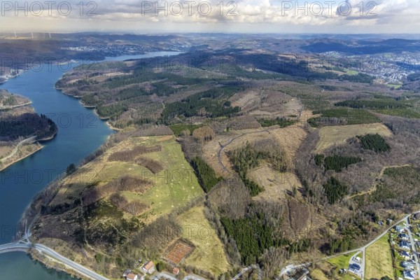 Aerial photo, forest damage in the forest area at Sorpesee, Amecke, Sundern, Sauerland, North Rhine-Westphalia, Germany, tree mortality, DE, Europe, hilly landscape, aerial photo, aerial photography, aerial photography, lake, Sorpe dam, overview, bird's-eye view, forest, forest area, forest damage, forest mortality, birds-eyes view, overview, spruce mortality, bark beetle plague, bark beetle damage, dead spruce, spruce clear-cut, clear-cutting, damaged wood