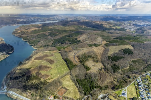 Aerial photo, forest damage in the forest area at Sorpesee, Amecke, Sundern, Sauerland, North Rhine-Westphalia, Germany, tree mortality, DE, Europe, hilly landscape, aerial photo, aerial photography, aerial photography, lake, Sorpe dam, overview, bird's-eye view, forest, forest area, forest damage, forest mortality, birds-eyes view, overview, spruce mortality, bark beetle plague, bark beetle damage, dead spruce, spruce clear-cut, clear-cutting, damaged wood