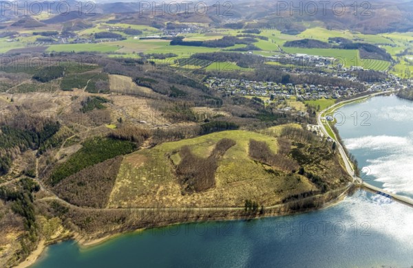 Aerial photo, forest damage in the forest area at Sorpesee, Amecke, Sundern, Sauerland, North Rhine-Westphalia, Germany, tree mortality, DE, Europe, hilly landscape, aerial photo, aerial photography, aerial photography, lake, Sorpe dam, overview, bird's-eye view, forest, forest area, forest damage, forest mortality, birds-eyes view, overview, spruce mortality, bark beetle plague, bark beetle damage, dead spruce, spruce clear-cut, clear-cutting, damaged wood