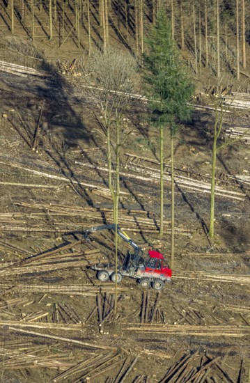 Aerial view, forest damage in forest area with harvester near Hellefeld, Westenfeld, Sundern, Sauerland, North Rhine-Westphalia, Germany, tree mortality, DE, Europe, harvester, timber harvesting machine, timber harvester, crane harvester, aerial view, aerial photography, aerial photography, overview, bird's-eye view, forest, forest area, forest damage, forest dieback, forest harvester, birds-eyes view, overview, spruce dieback, bark beetle plague, bark beetle damage, dead spruce, spruce clear-cut, clear-cutting, damaged wood